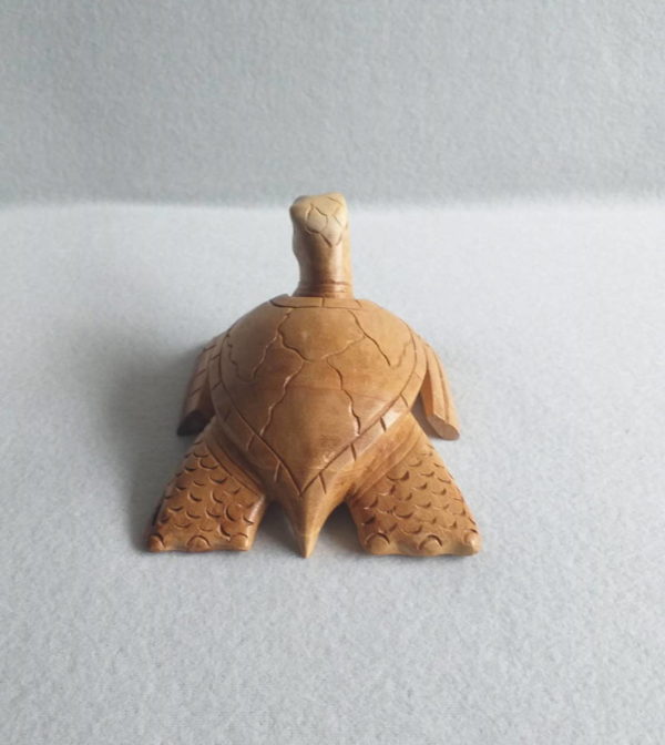 Tortue africaine en bois sculpté