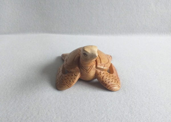 Tortue africaine en bois sculpté